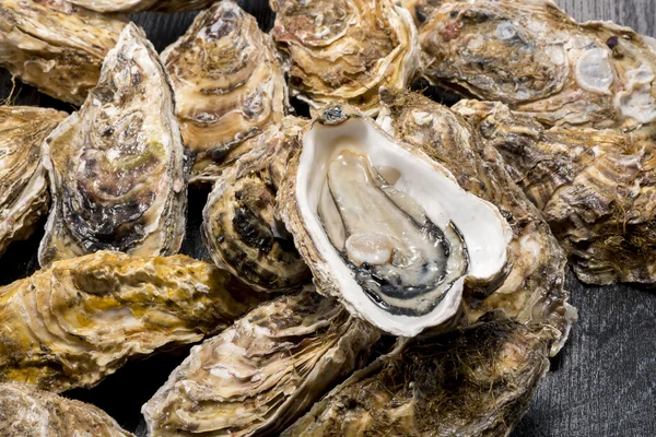 İstiridye Kabuğu Deniz Ürünleri